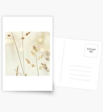 Grass and Bokeh Postcards