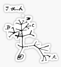 Darwin I Think Tree (Black) Sticker