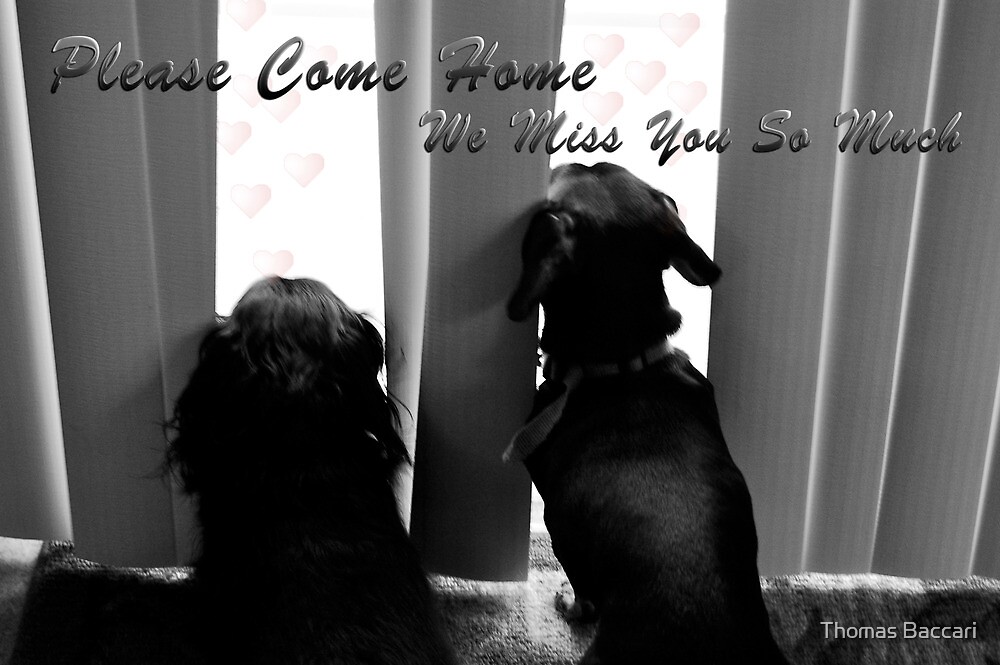 please come home shirt