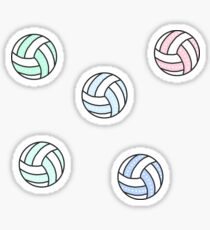 Cute Volleyball Pack Sticker