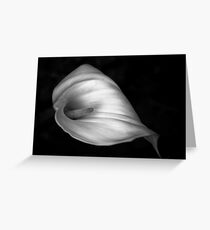 #5 Greeting Card
