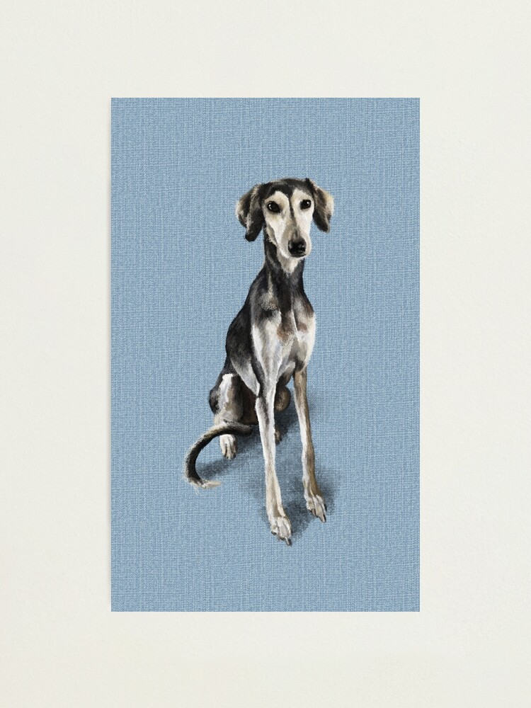 Alternate view of Belle Photographic Print
