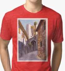 Assisi Ruin Tri-blend T-Shirt