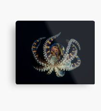 Suspended. Metal Print