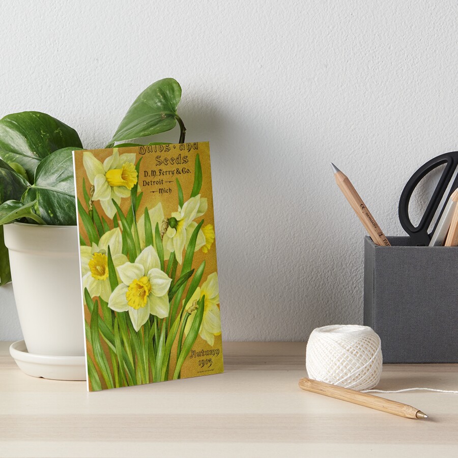 Vintage Daffodils Art Board Print
