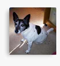 Eddie-my dearest friend & companion Canvas Print