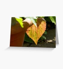 First signs of autumn Greeting Card