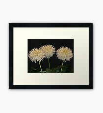 Winners 3 Framed Print