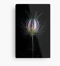 Persian Jewel Metal Print