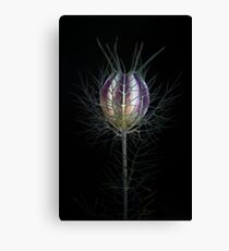 Persian Jewel Canvas Print