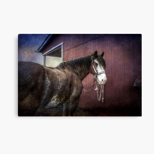 At Heaven's Gate Canvas Print