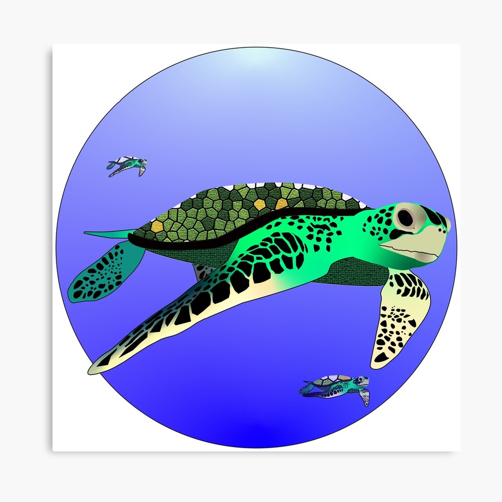 "Sea Turtles" Canvas Print by Ellingsonzack Redbubble