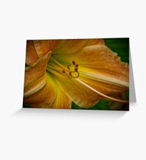 Curiousity Greeting Card