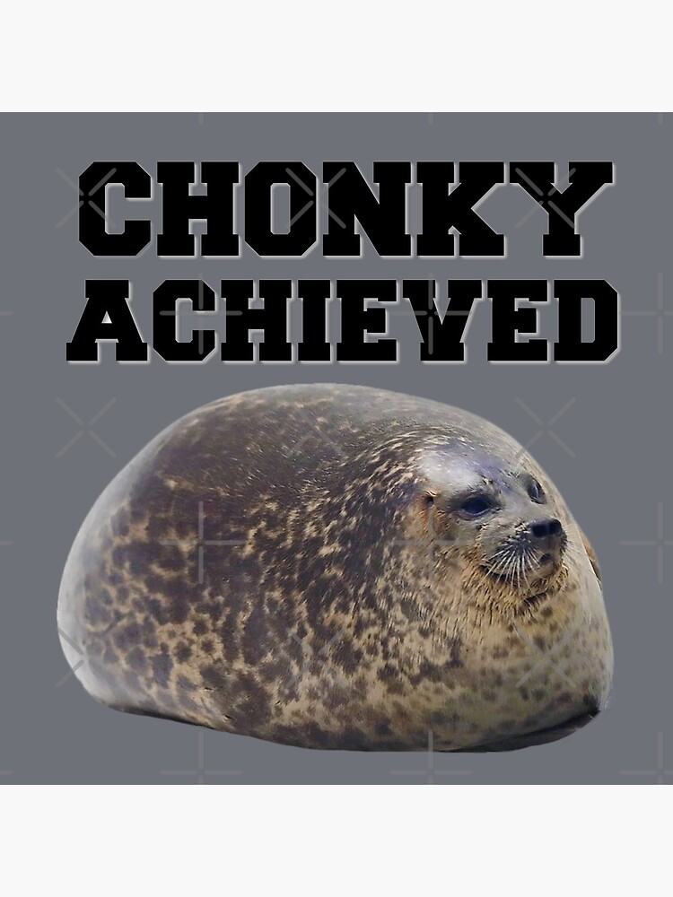 chonky seal real