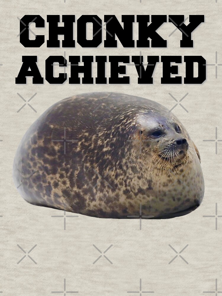 a chonky seal