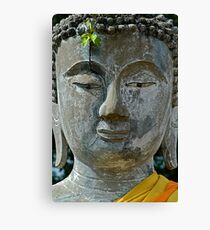 Nature Buddha Canvas Print