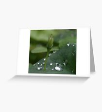 Mercurial Greeting Card