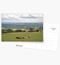 Shropshire Postcards