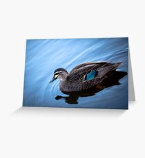 Down South Greeting Card