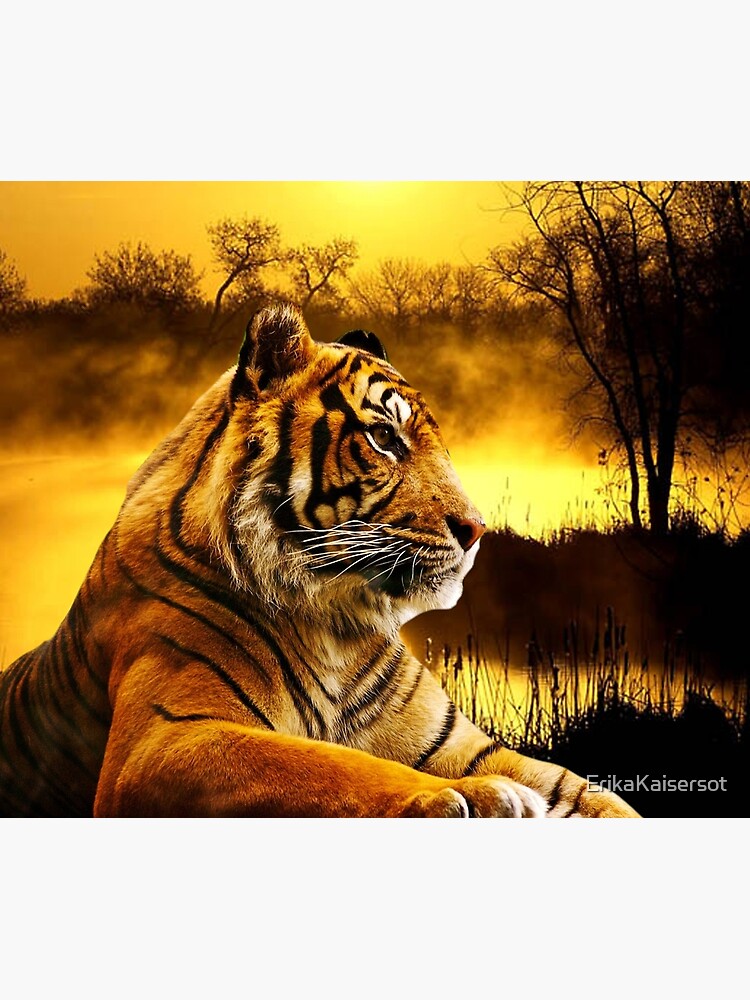 Tiger and Sunset by ErikaKaisersot