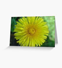 The Dandelion Greeting Card