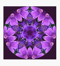 Wild Geranium Kaleidoscope Photographic Print