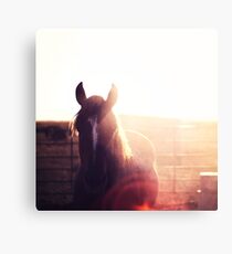 Morning Star Canvas Print
