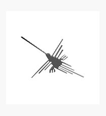 Nazca Lines Hummingbird Newsprint Photographic Print