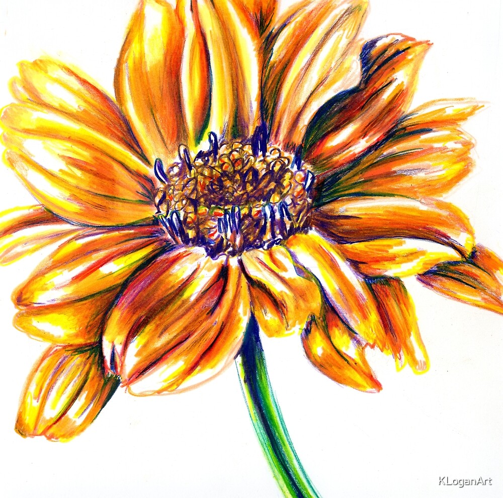 "Yellow Flower Colored Pencil Drawing" by KLoganArt | Redbubble