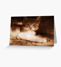 Precious © Greeting Card