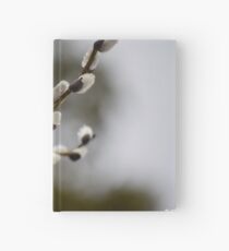 Pussy Willow in the Rain Hardcover Journal