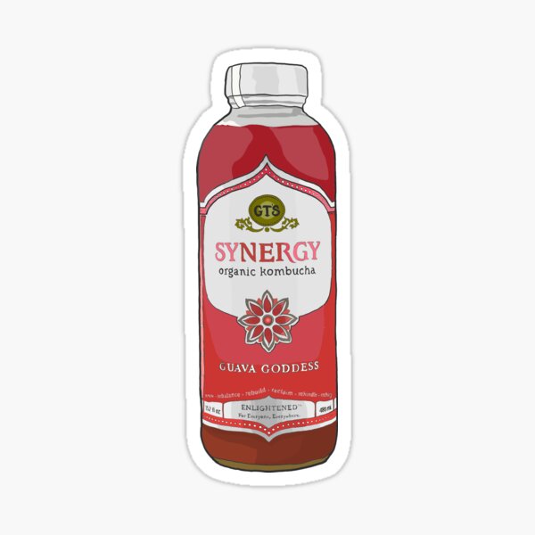 synergy kombucha guava goddess