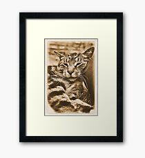 I Kneed an Older Pillow Framed Print