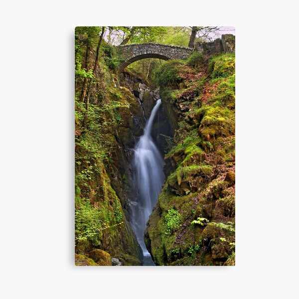 Aira Force - The Lake District Canvas Print
