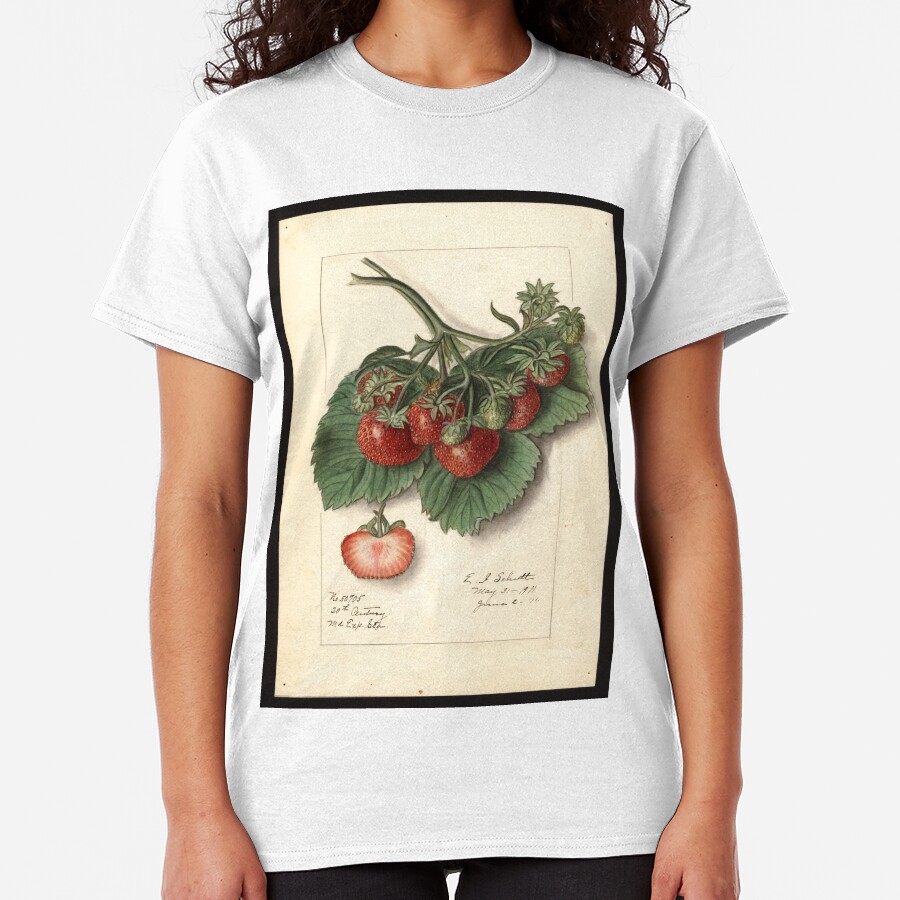 Vintage Strawberries Classic T-Shirt