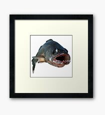 Walleye Framed Print
