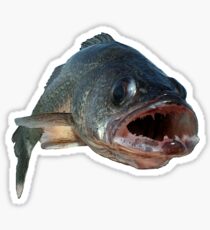 Walleye Sticker