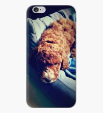 Groodle Puppy Zoe iPhone Case