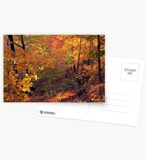 Fiery Forest Postcards