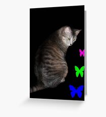 Cat and Butterflies © Greeting Card