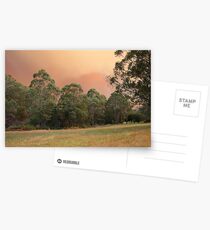Fire Again Postcards