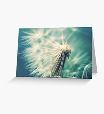 Not sure when you stop thinking dandelions are beautiful... Greeting Card