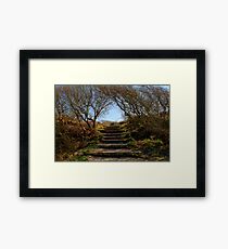 Stairway to heaven Framed Print