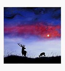 Stag In Moonlight Photographic Print