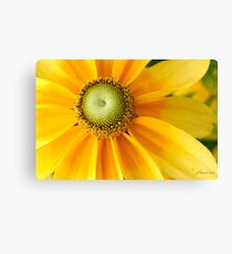 Sunny Side Up! Canvas Print