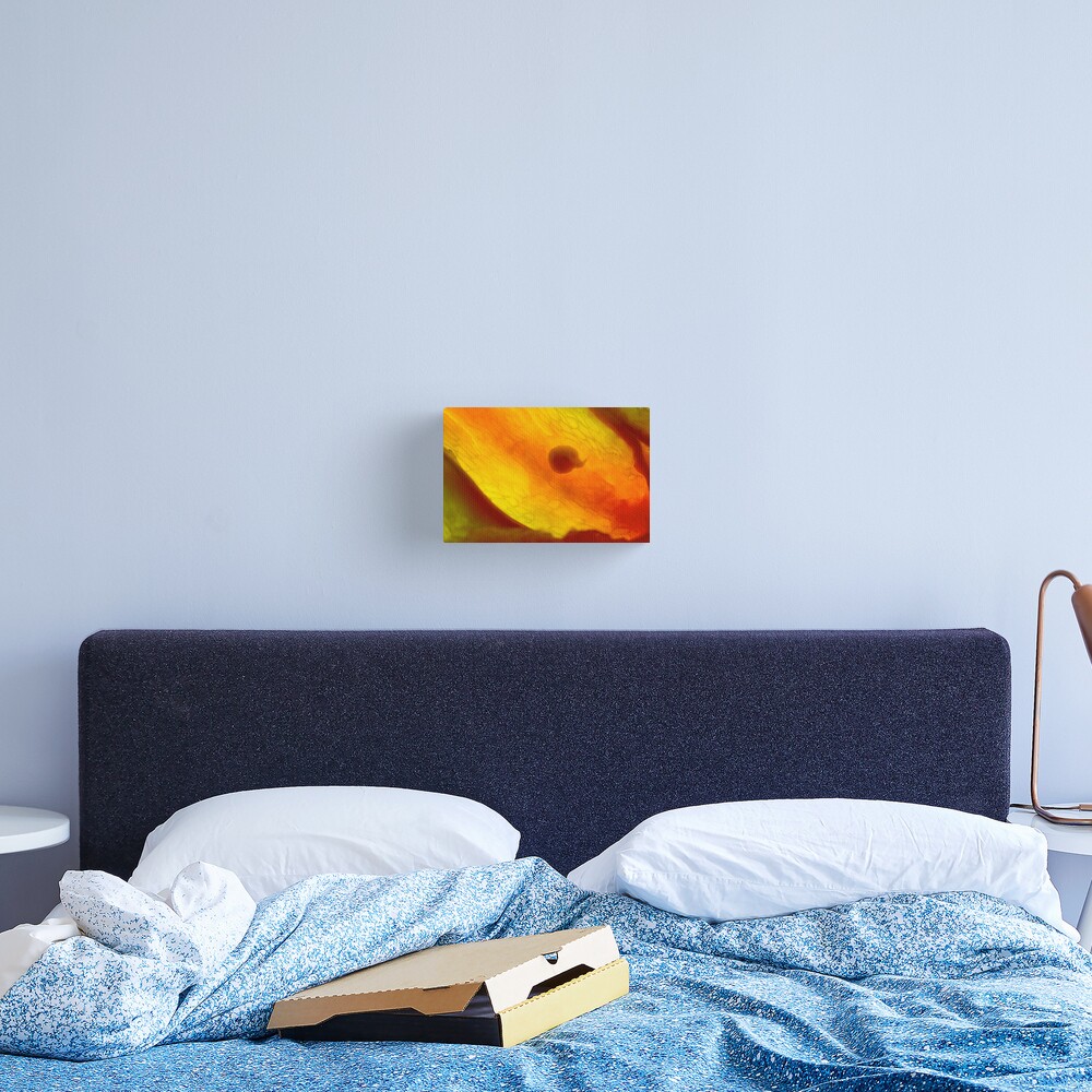 the Origin of life Canvas Print
