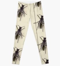 Yellow Jacket Leggings