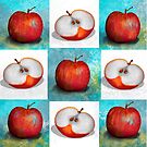 Retro Patchwork Apples by Karin Taylor
