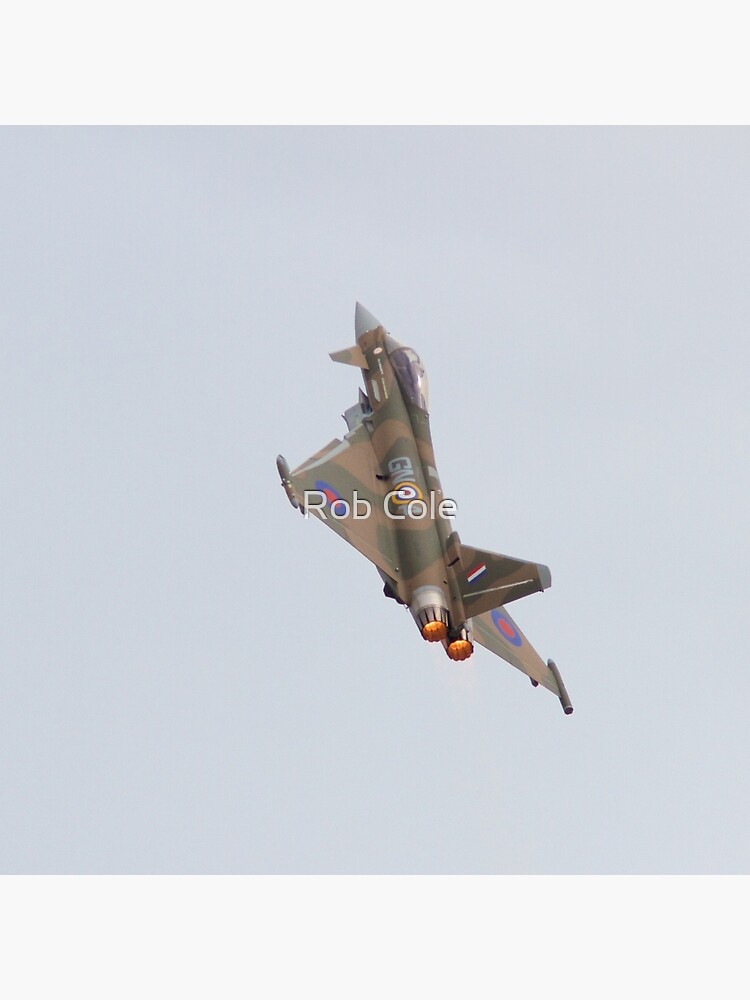 FGR4 Typhoon Eurofighter Jet by robcole