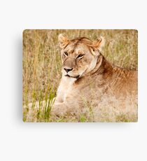Tribute to Elsa Canvas Print